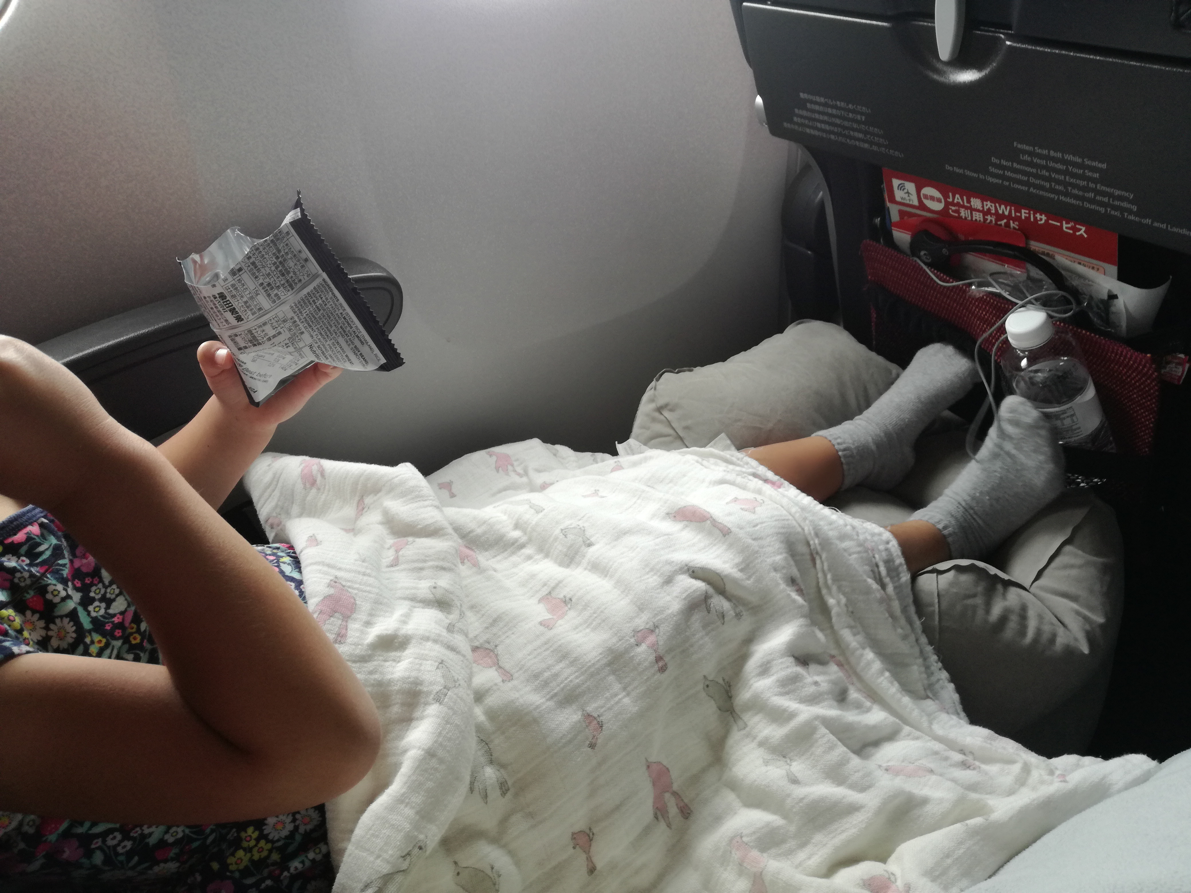 FLY TOT フライトット ベビー・キッズ用旅行用品 used】FLY-TOT フライ