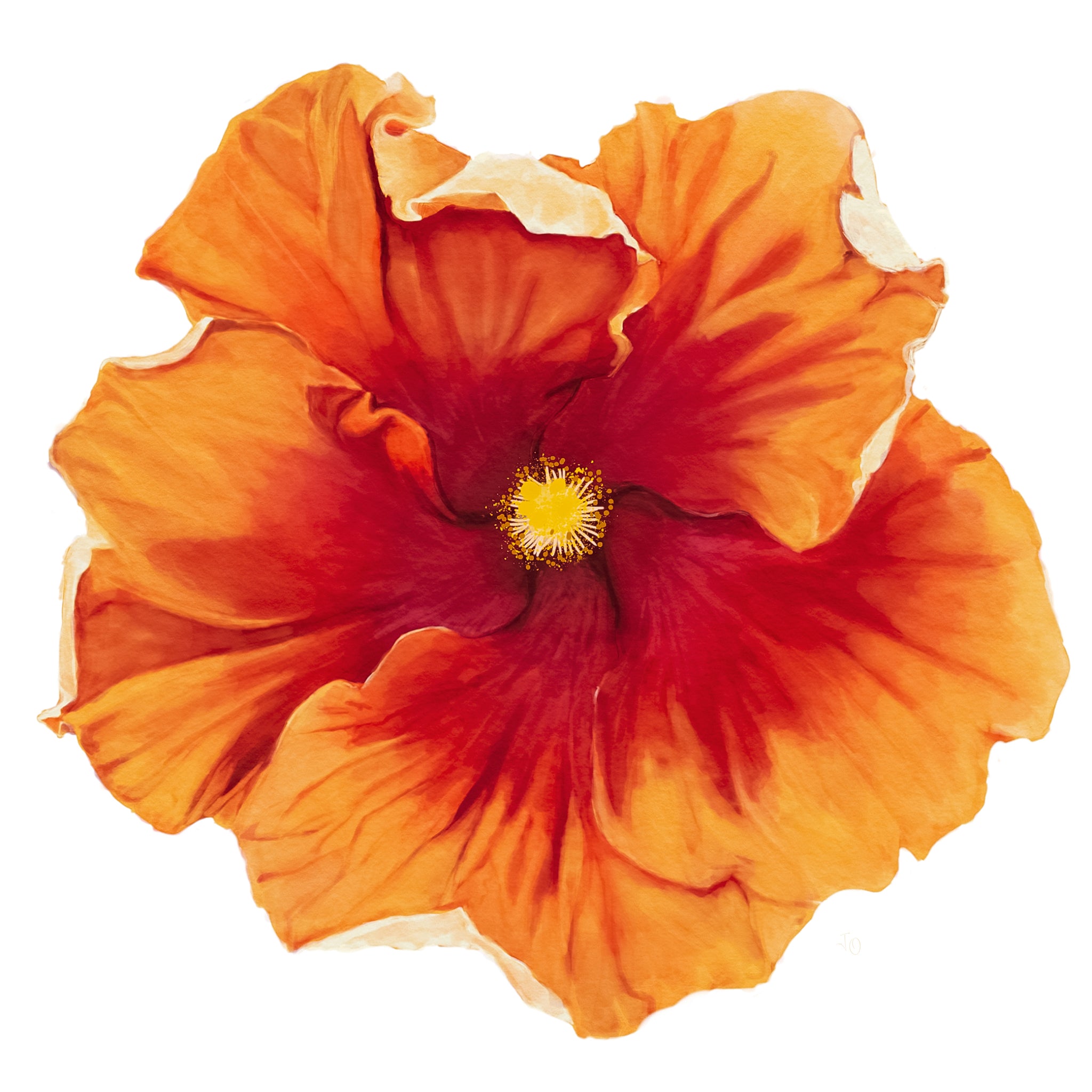 mam❤︎selectアロハデメレ4点 mam❤︎selectアロハデメレ4点 mam