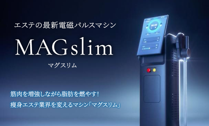 ems電磁パルスhimet