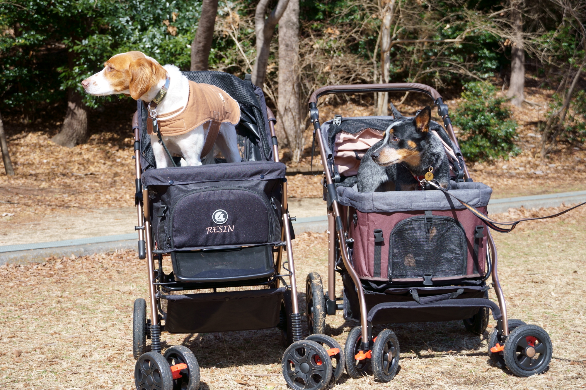 犬用 ペットカート ALLWAN ペットストローラー用 交換用タイヤ＆パーツ