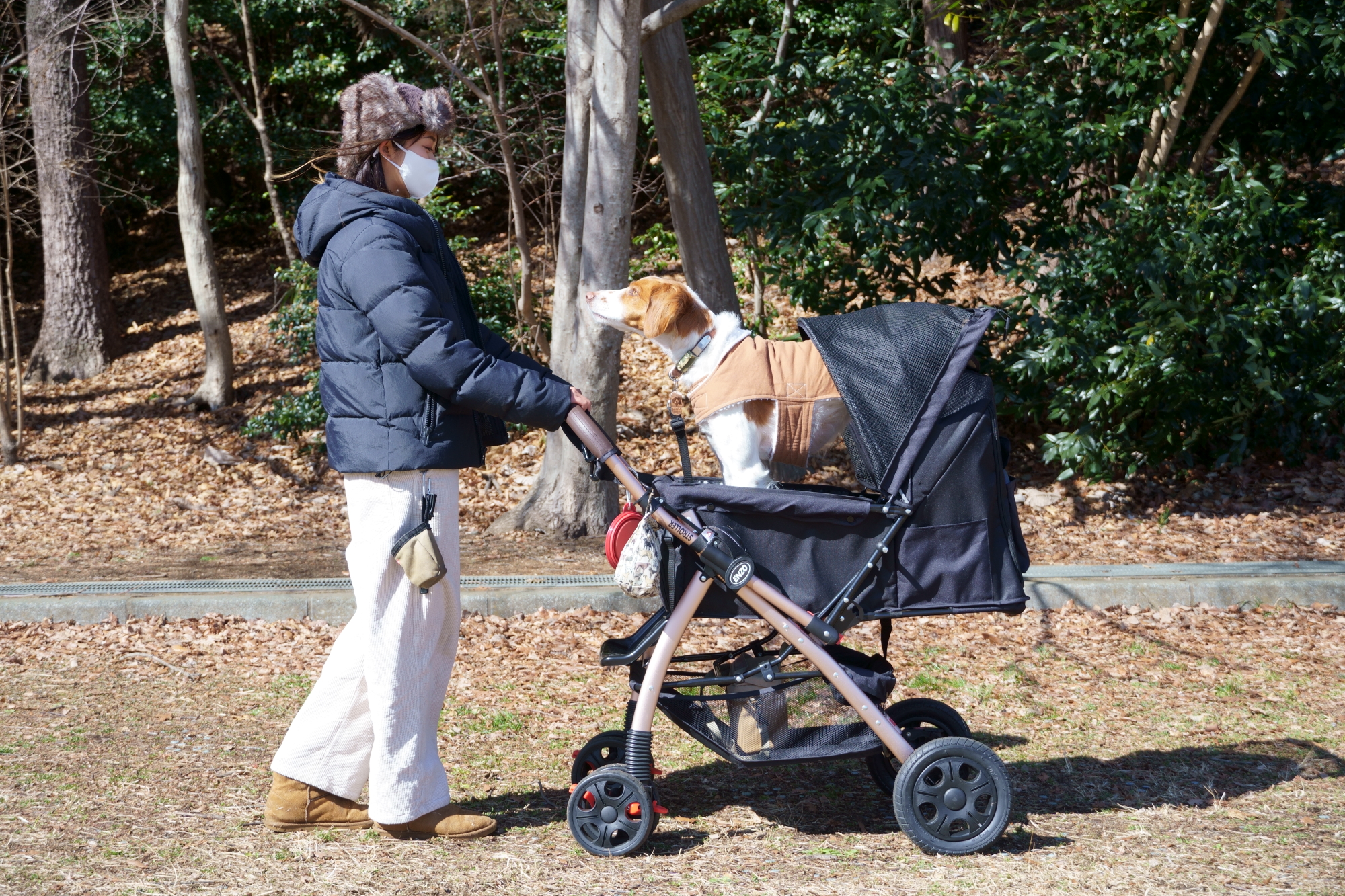 犬用 ペットカート ALLWAN ペットストローラー用 交換用タイヤ＆パーツ