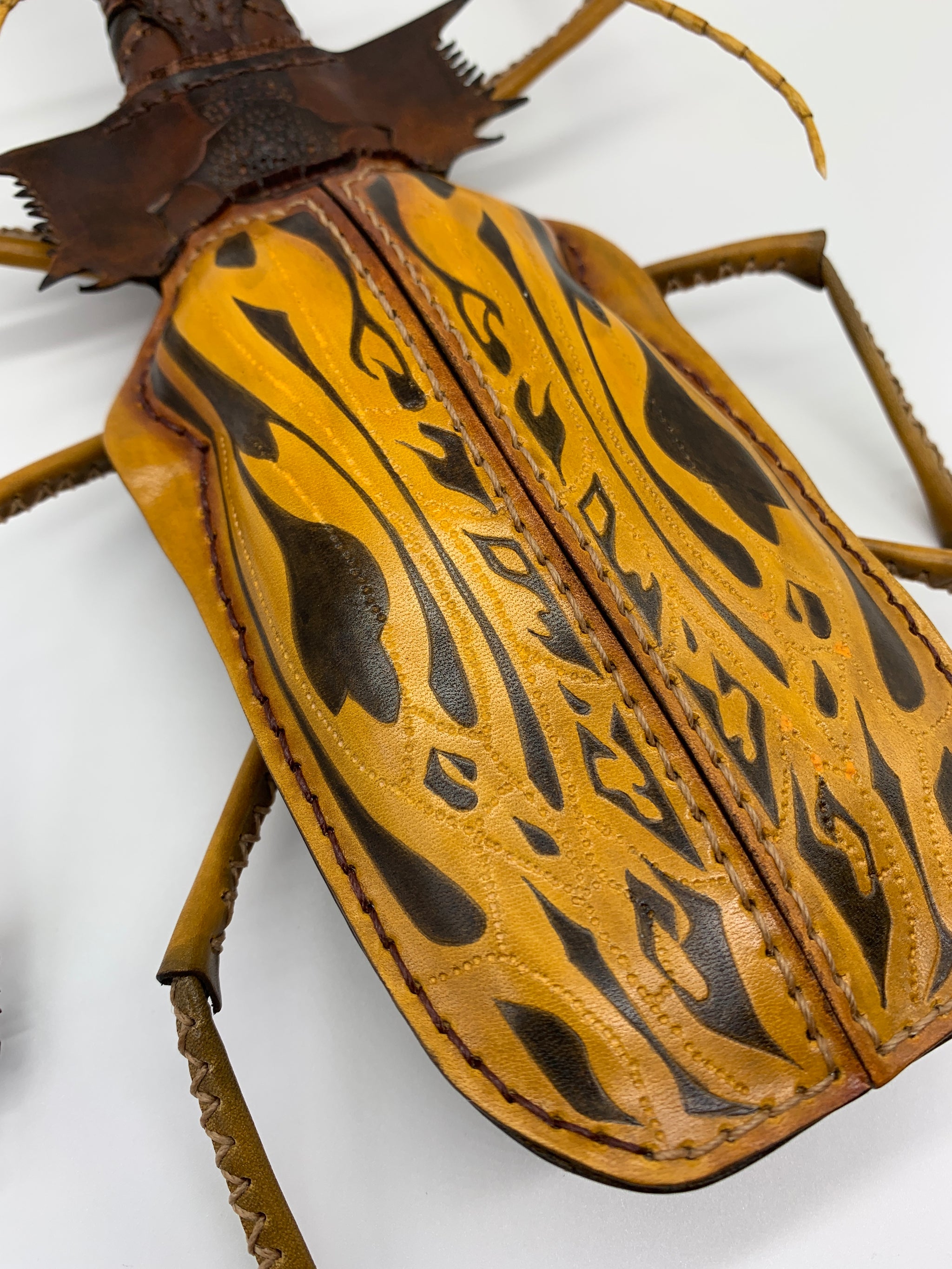 72F5EECA-FCA0-406D-ACFD-