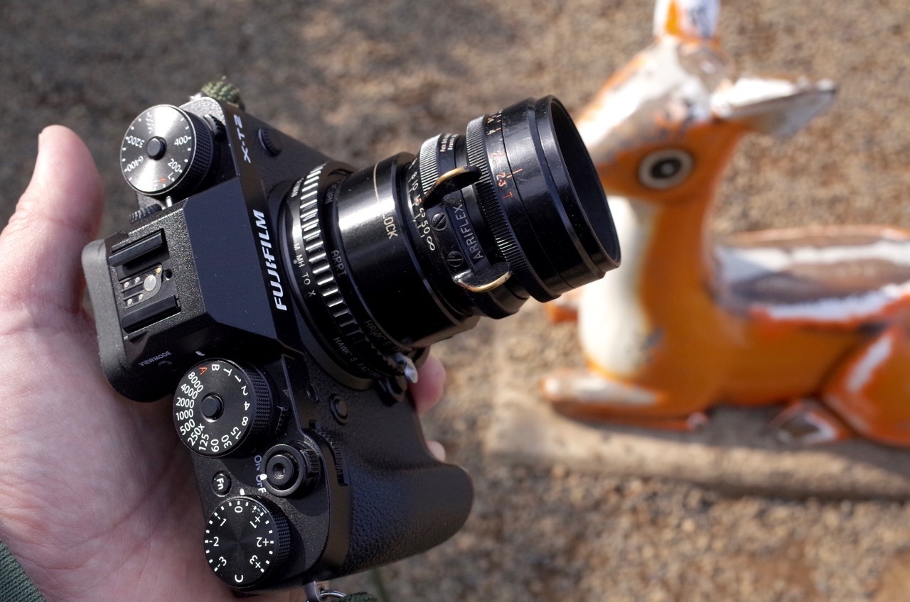 冬の動物園』RANK TAYLOR HOBSON COOKE SPEED PANCHRO SER II 50mm f/2