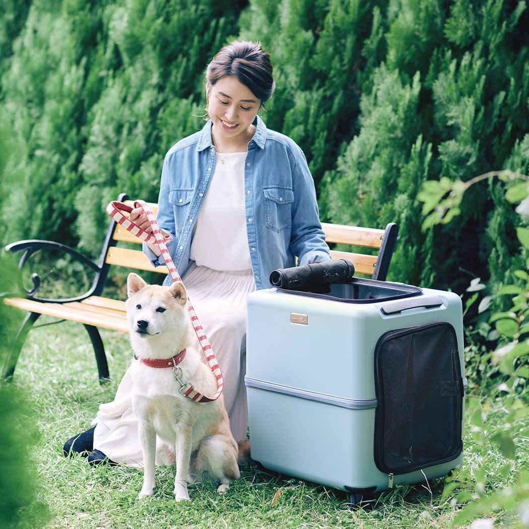 メーカー直送】 ペチコ PETiCO イコ iCO ペットキャリー Lサイズ 80L