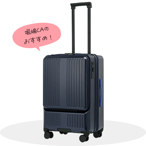 ANA機内誌販売限定品 キャリーカート 付属品多数