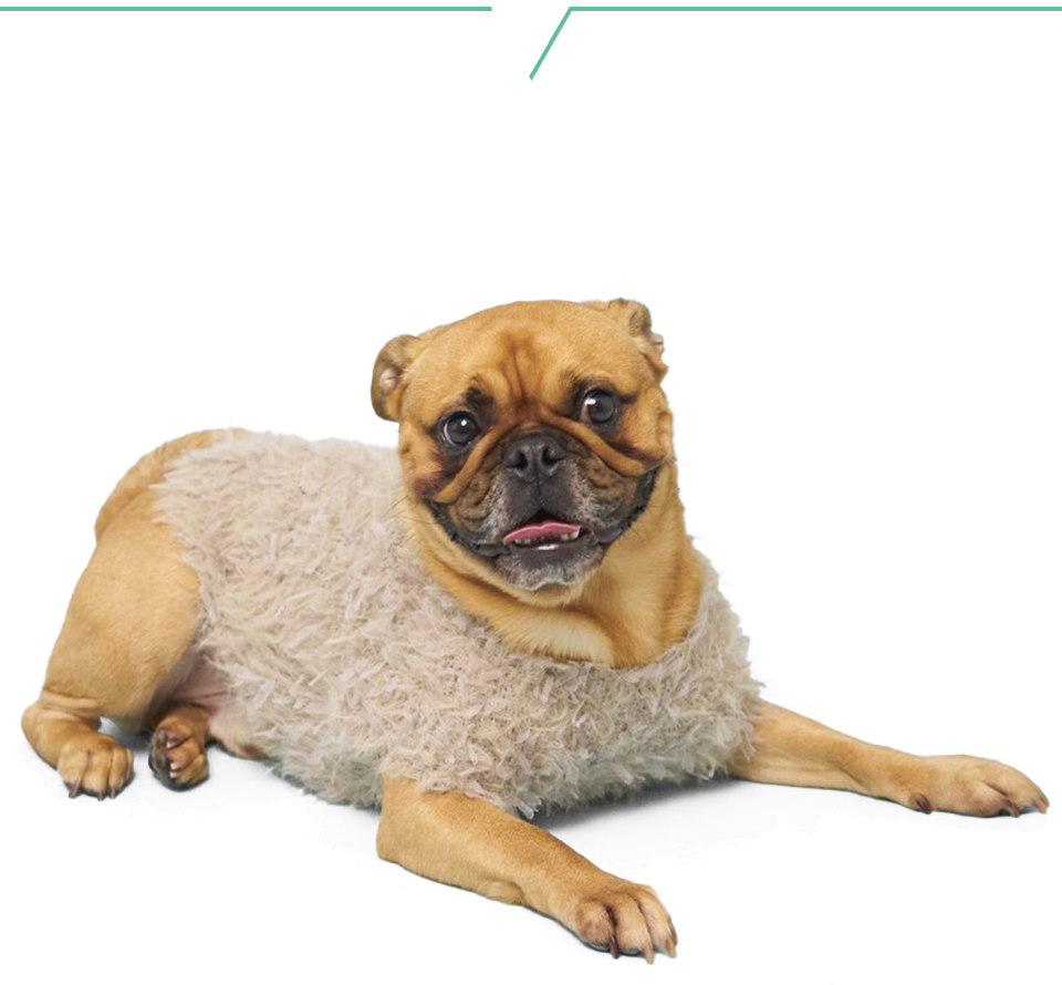 9/15(月祝)飛行船シアターにて開催「高尾奏音Birthdayparty2025 with