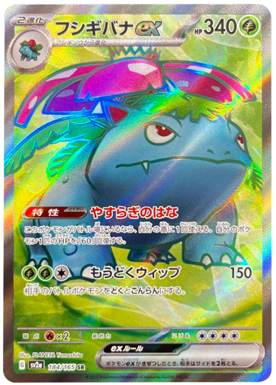 連番】メガフシギバナ 進化ライン セット PSA10 連番】メガフシギバナ