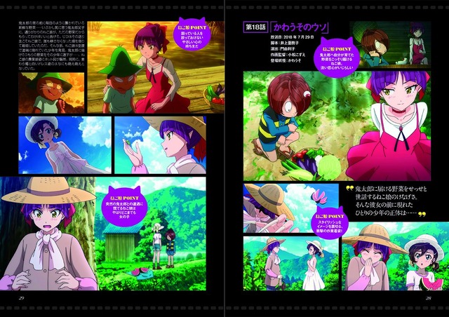 ねこ娘ゲゲゲの鬼太郎DVD初回生産版限定特典100周年書き下ろし記念色紙