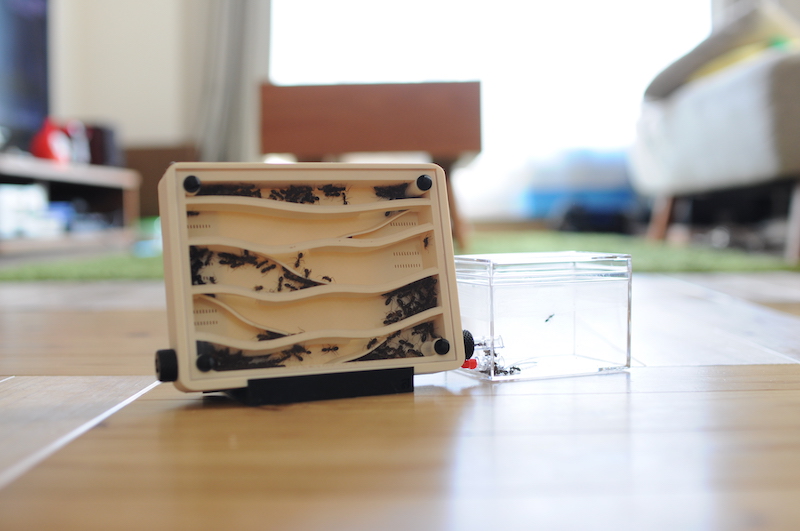 S-Ant・Hybrid Nest Type Start・飼育ケース・アリ・コロニー・観察用