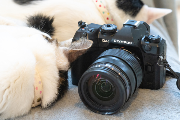 ASCII.jp：最新ミラーレス一眼「OM SYSTEM OM-1」の連写と猫AFはヤバ