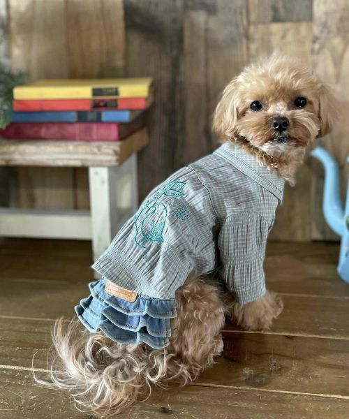 デワン | 愛犬とママ パパのお揃いコーデも取り扱う犬服通販サイト