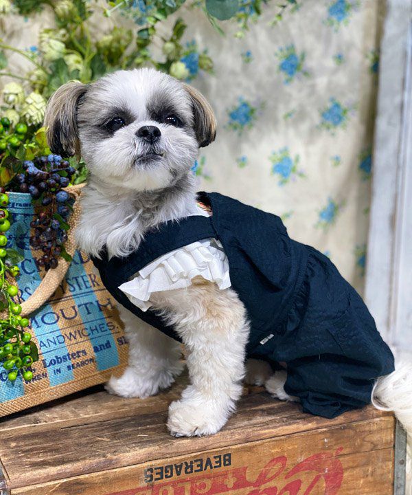 デニムボアダッフルコート | AS KNOW AS オンラインショップ