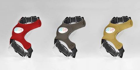 愛犬の心を読み解くデバイス「イヌパシー」。ソニーFirst Flightで