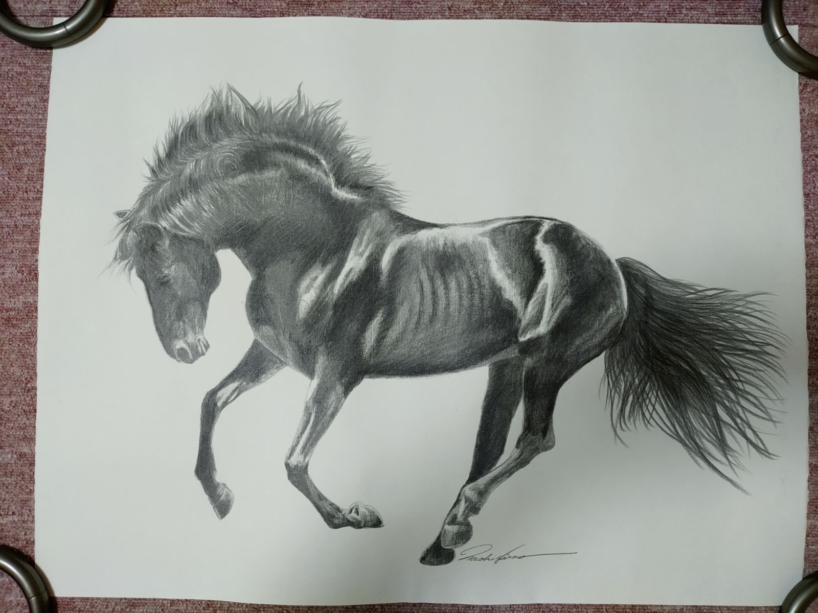鉛筆画 馬の絵 鉛筆画 馬の絵（全身） 骨格、ポージング、装飾も！「馬