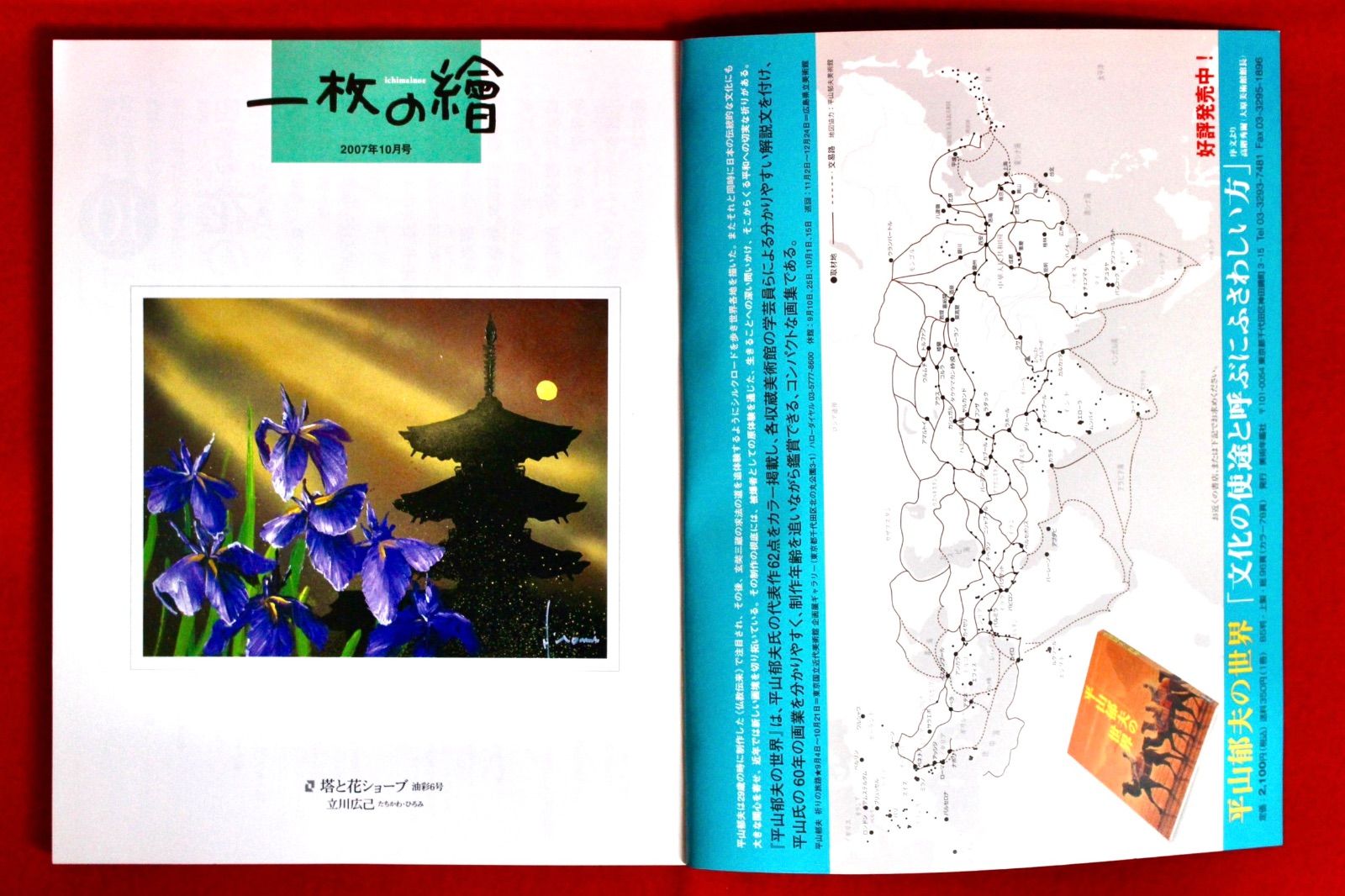 花乙女コレクション【桶田洋明夕刻】購入金額より60％お値引き！！