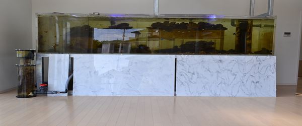 設置例・海水 アクリル水槽、大型アクリル水槽 ｜ 関東建鉄（株）KANTETSU