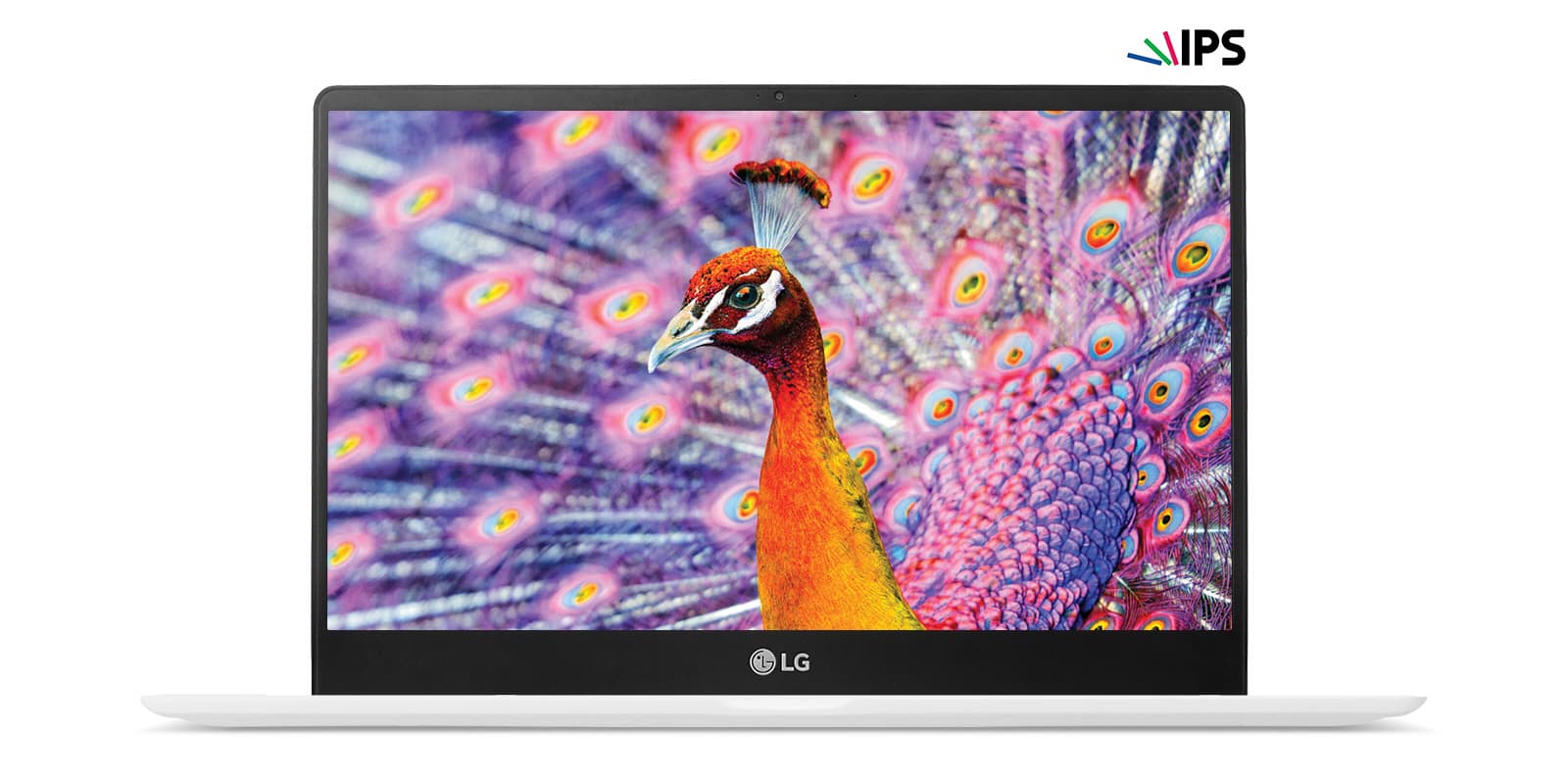 13Z990-GA55J - 株式会社アーキサイト