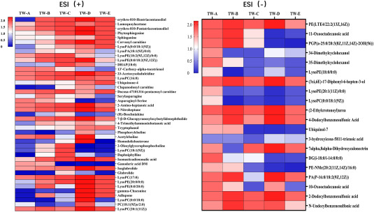 Exploring the liver toxicity mechanism of Tripterygium wilfordii