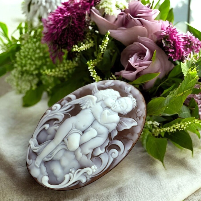 湯布院アンティーク 希少トウカムリカイ 310mm超特大標本 奄美大島産