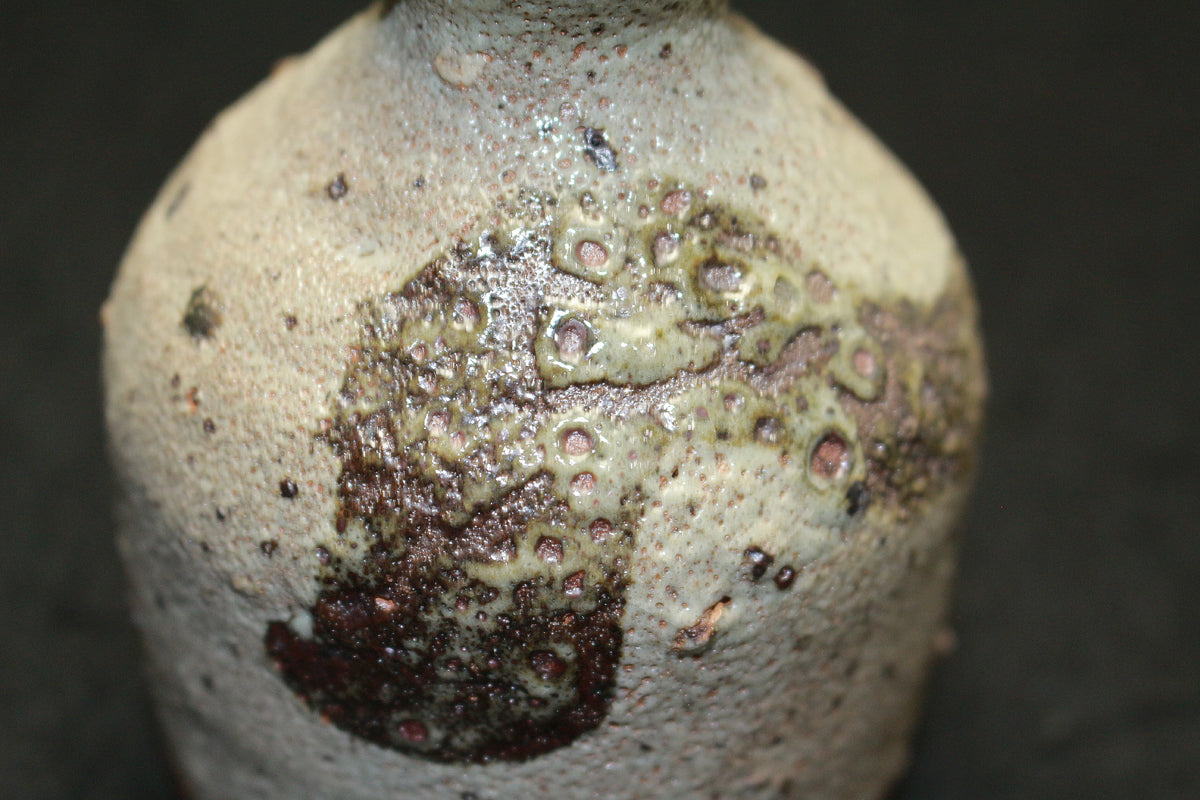 25923 中川自然坊 絵唐津徳利 NAKAGAWA Jinenbo – アート飛田