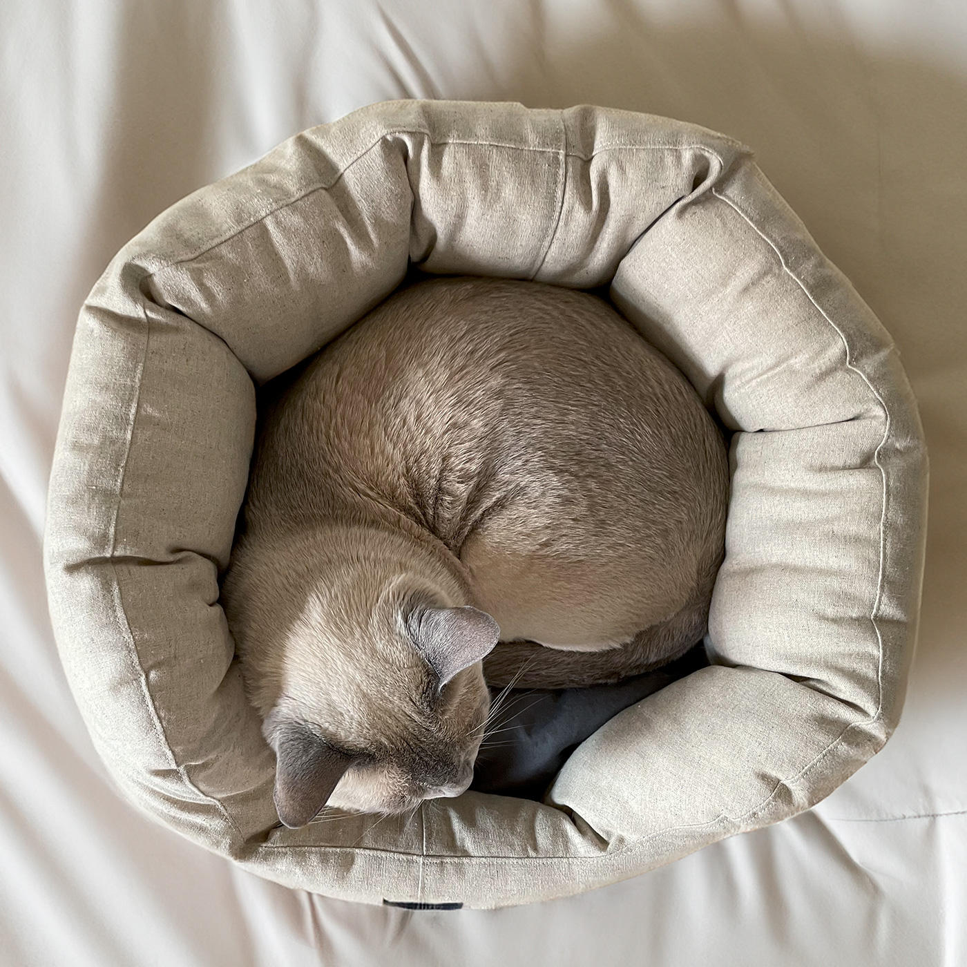 犬 猫 ペット ベッド | スナッグルベッド「小さめサイズで抱っこのよう