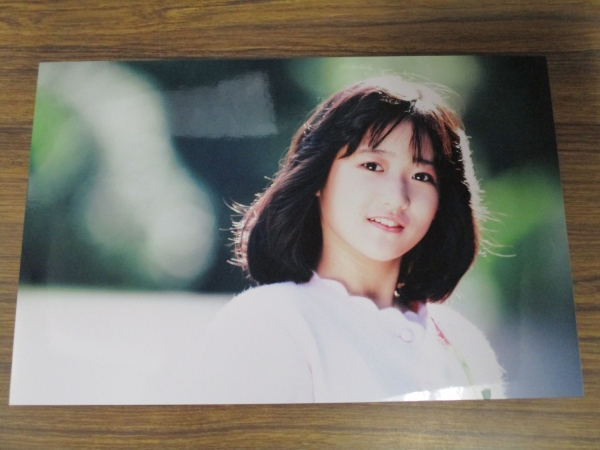 人気セール，2025 下敷き 中山美穂 [貴重] 中山美穂 下敷き25枚セット