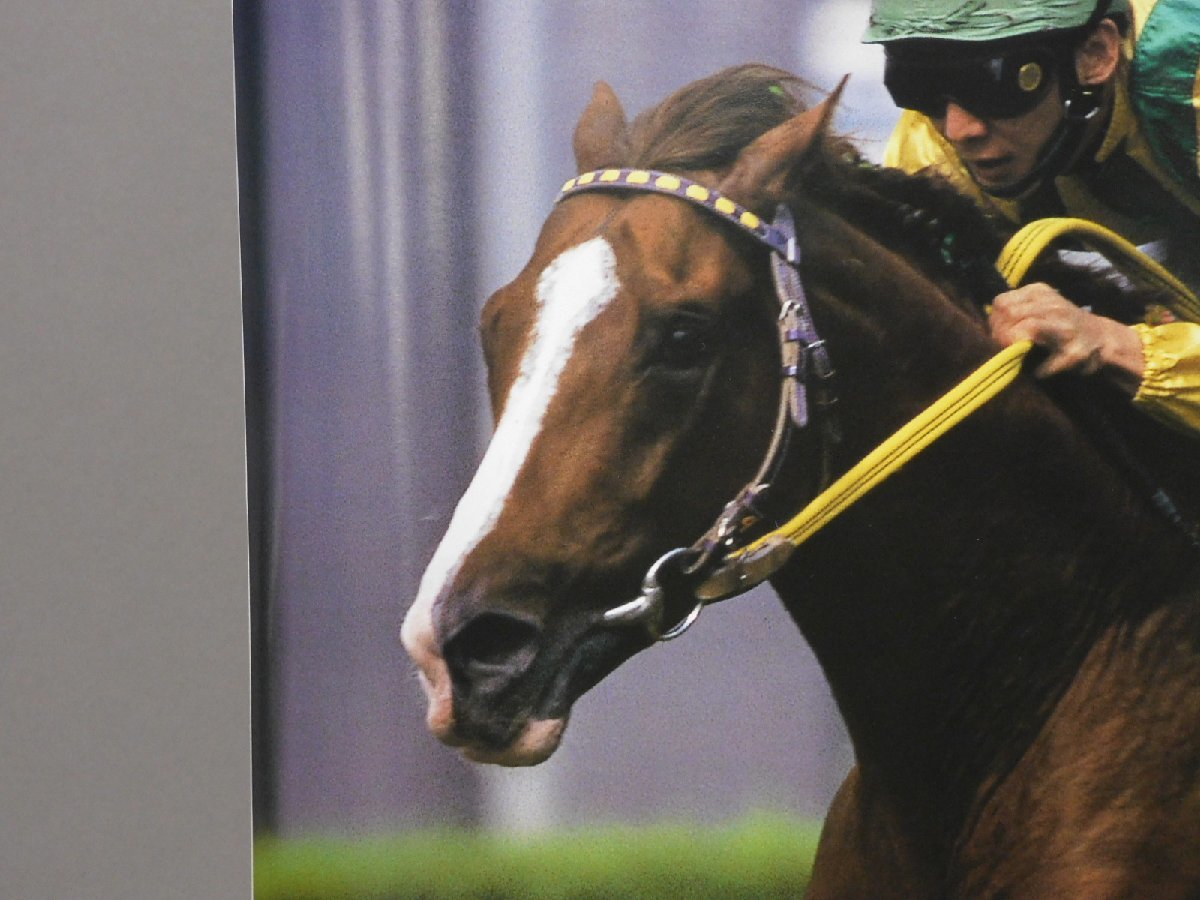 JRAヒーロー列伝 No.42 マヤノトップガン JRAヒーロー列伝 No.42