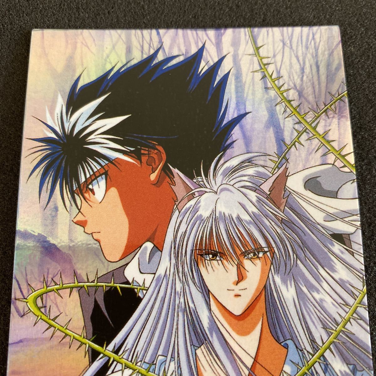 幽遊白書 カードダス アマダ パーフェクトコレクション スペシャル