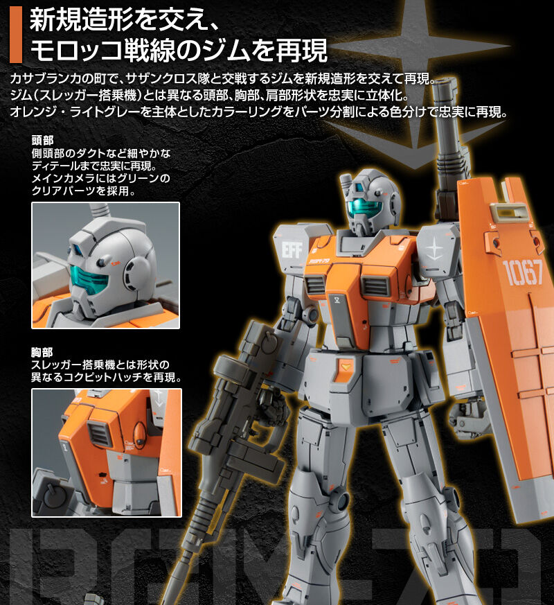 HG 1/144 RGM-79 GM [MOROCCAN FRONT TYPE] Plastic Model