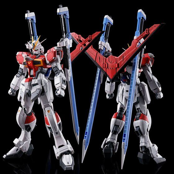 確認用 RG ソードインパルスガンダム RG フォースインパルスガンダム