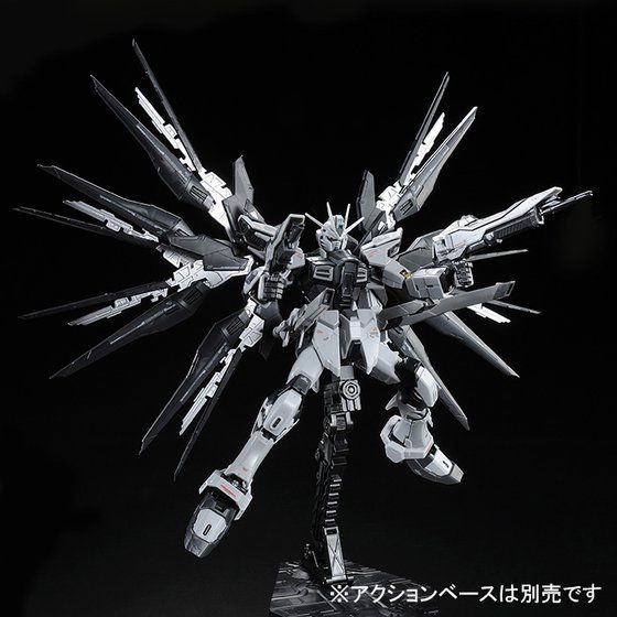 RG 1/144 ストライクフリーダムガンダム ディアクティブモード【再販