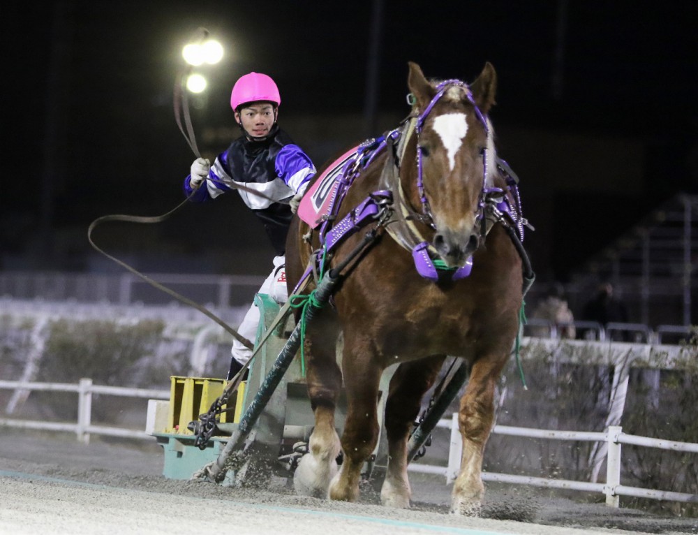 金田利貴騎手 初勝利 | 【公式】ばんえい十勝