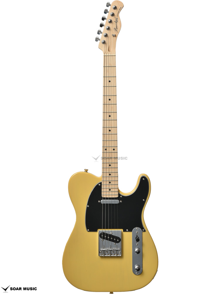 Bacchus テレキャスター 改造 Rio Grande搭載 時雨TK系 BTE-1M/BBD