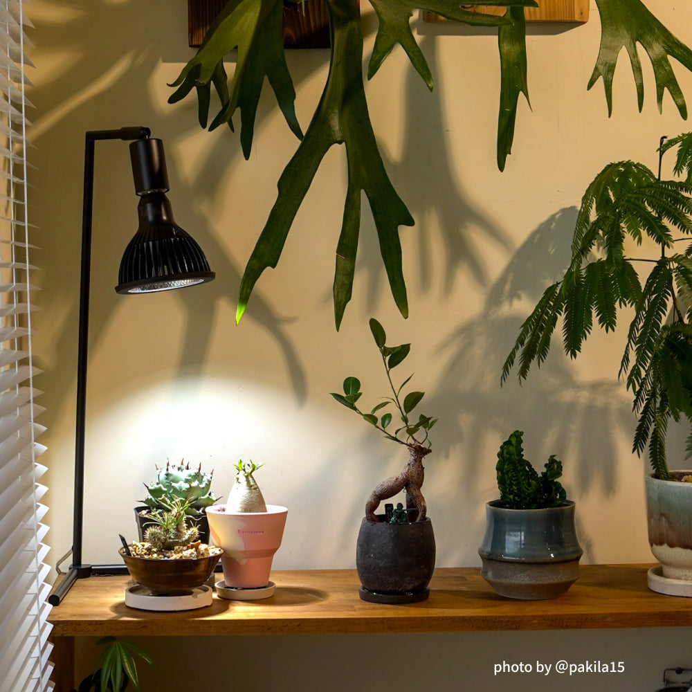 NEO AMATERAS LED 20W】BULB E26 CCT: 5900K – BARREL PLANT LIGHT