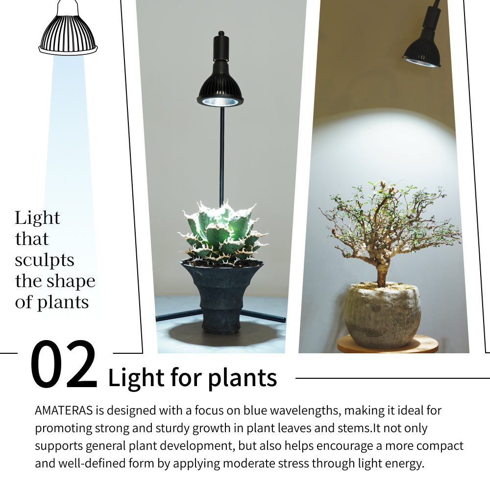 NEO AMATERAS LED 20W】BULB E26 CCT: 5900K – BARREL PLANT LIGHT