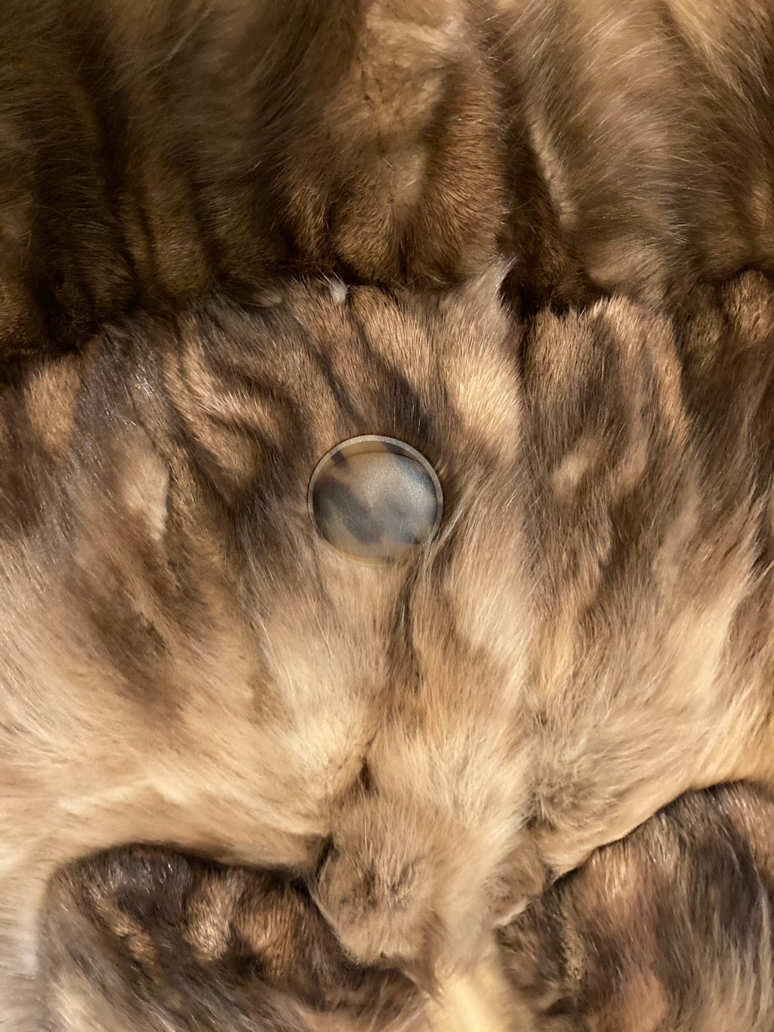 ロシアンセーブル コート