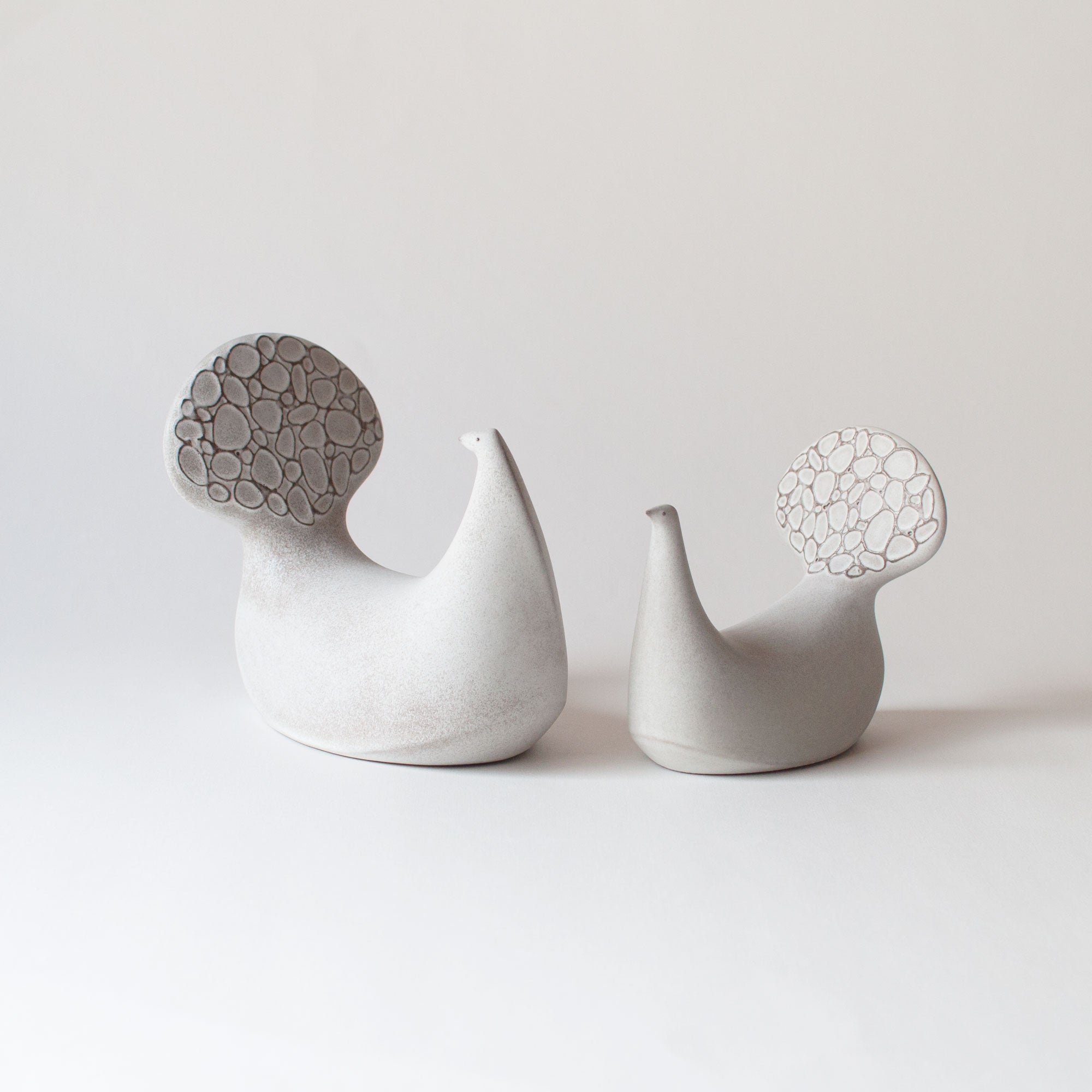 PEACOCK / グレー – BIRDS' WORDS