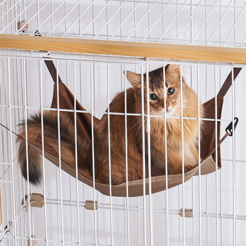 ボンビアルコン オンラインショップ / ウッドワンサークルキャット