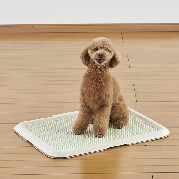 ボンビアルコン オンラインショップ / 薄型しつけるトレー