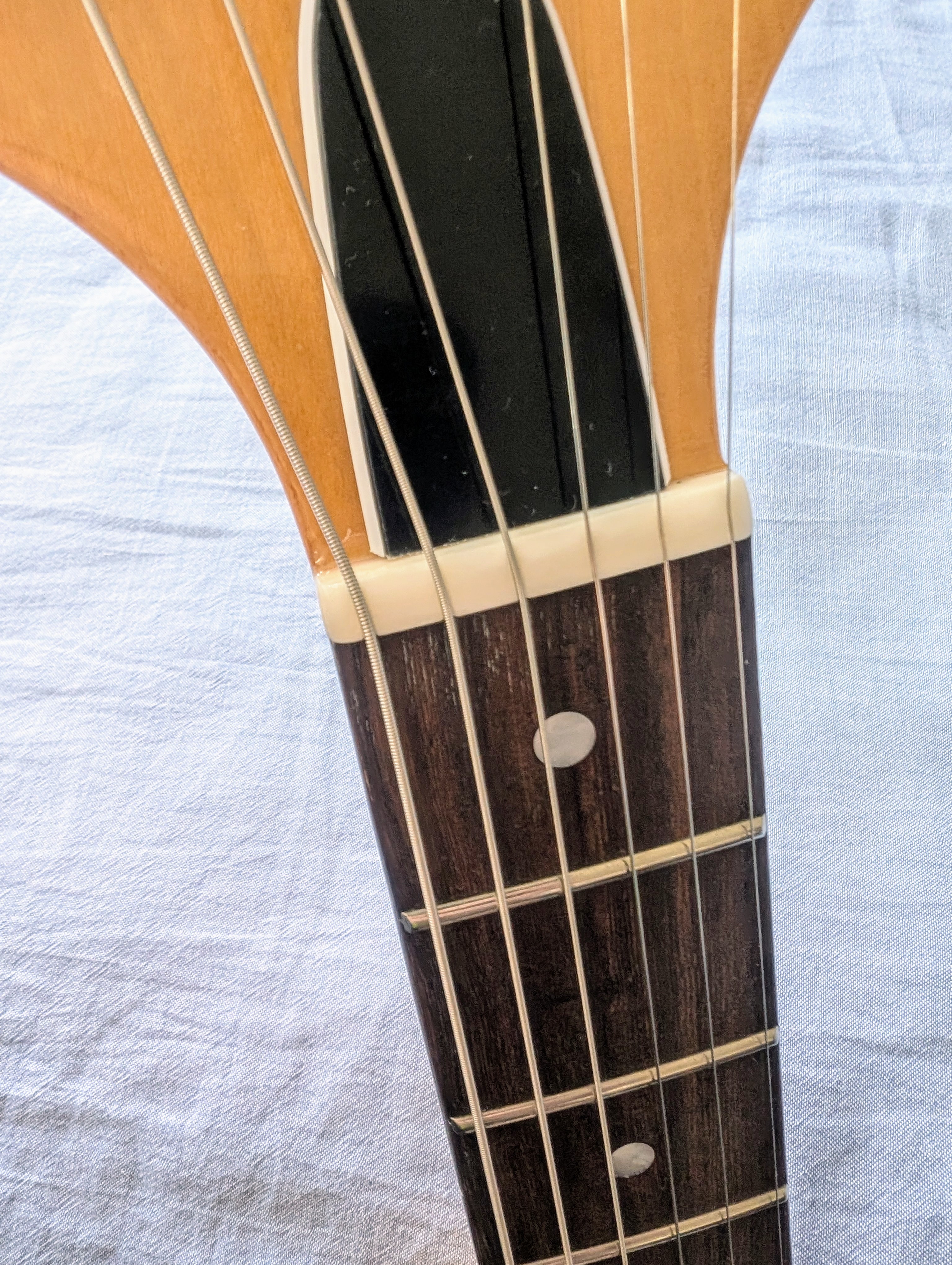 ギター買いました 2025 - M's Sound Engineering