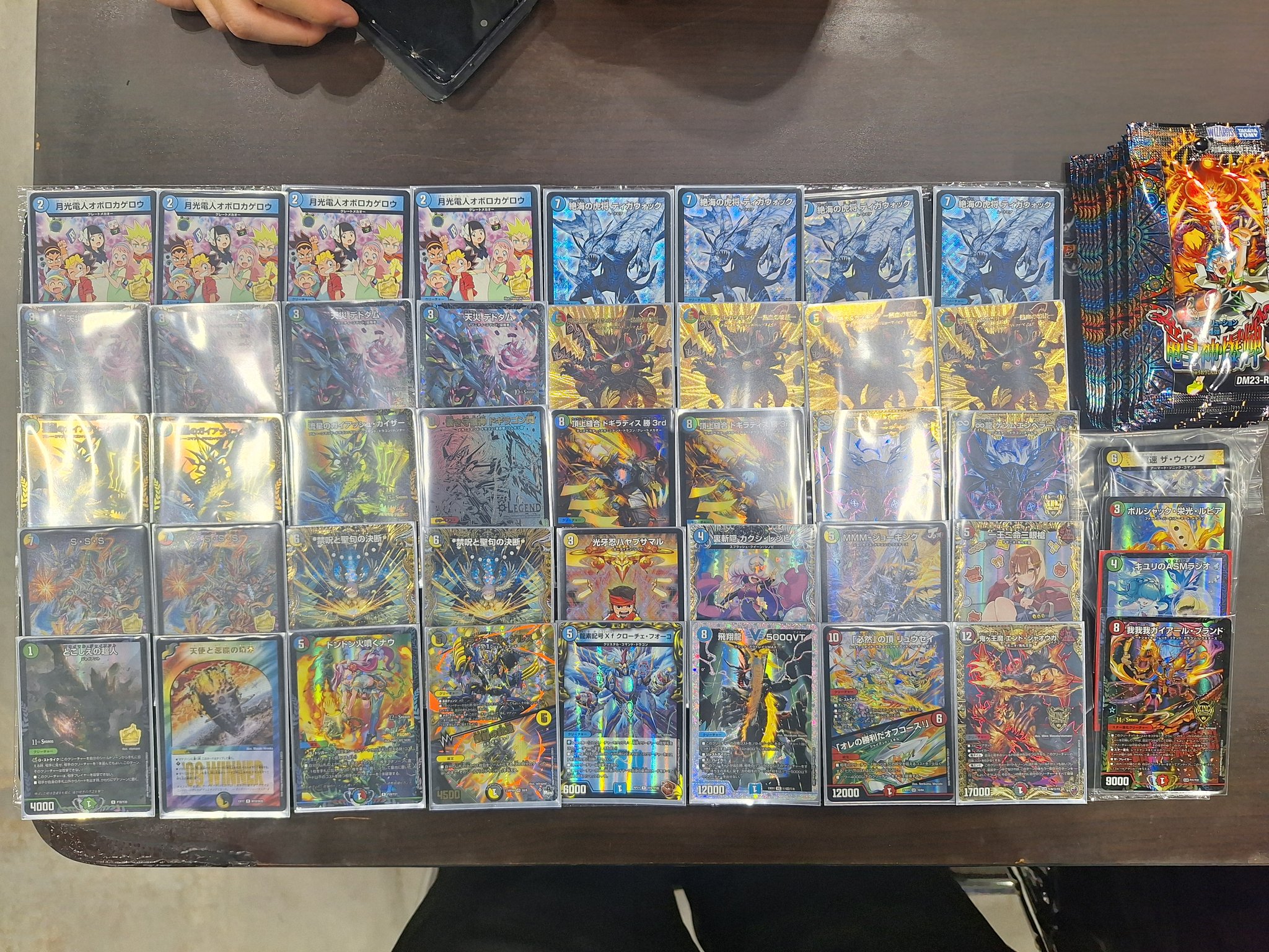 CS優勝構築】オボロティガウォックデッキ