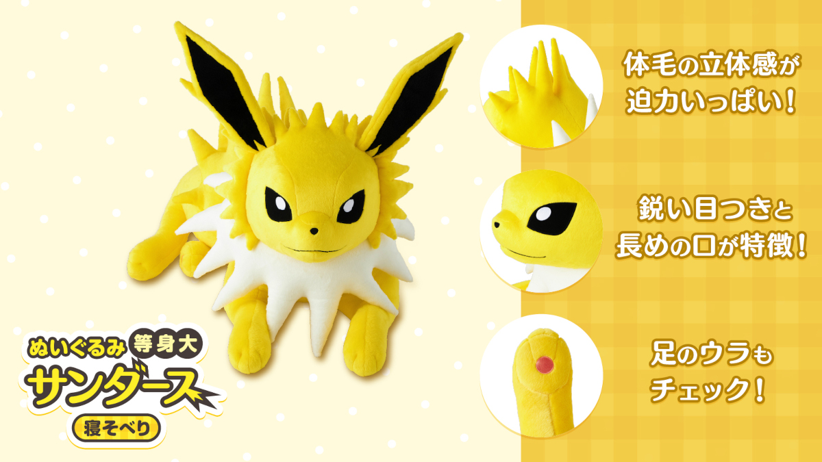 新品未開封 等身大 サンダース ぬいぐるみ 寝そべり ぬいぐるみ 等身大