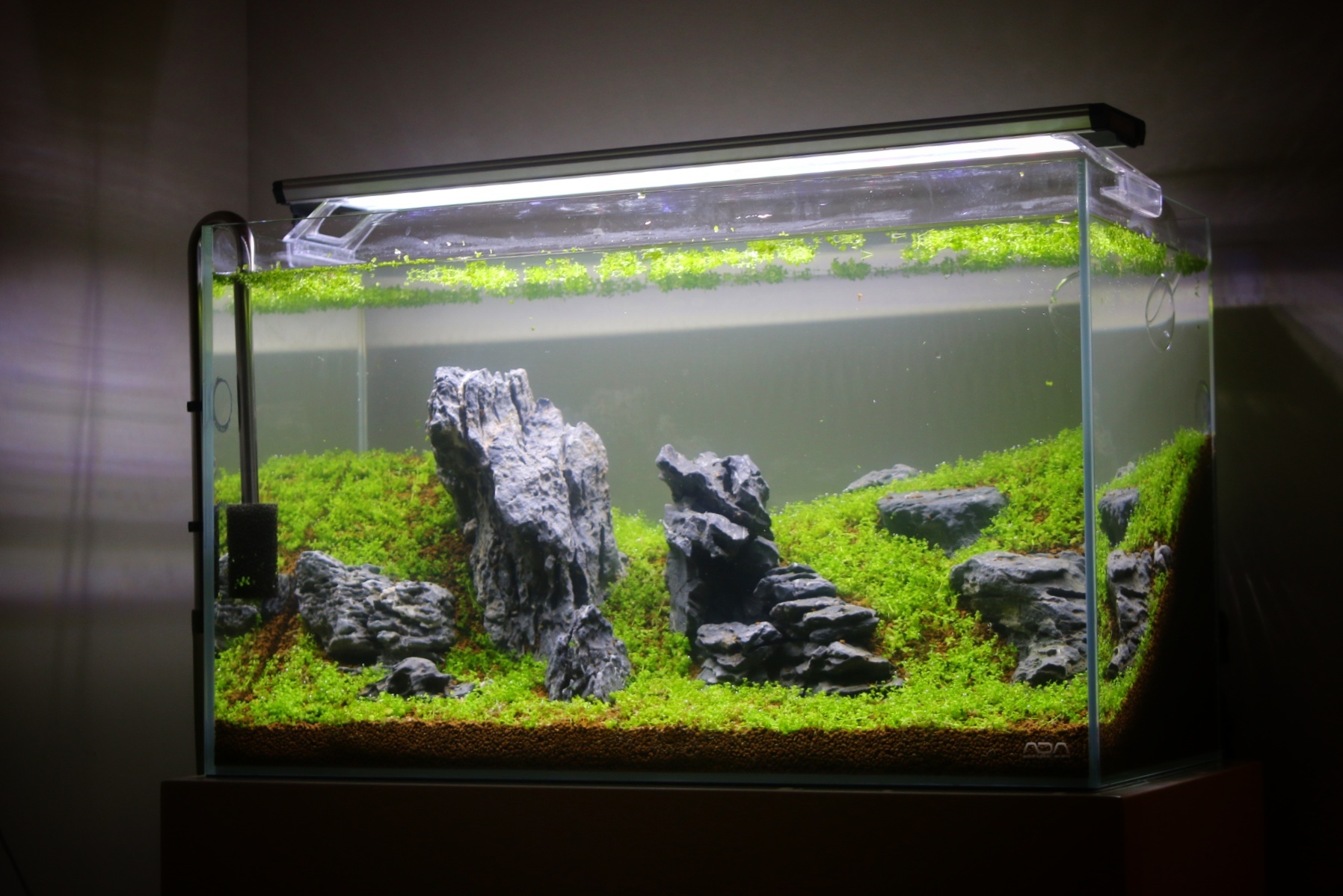 2[新品]ADA 龍王石6.5キロ☆水槽 レイアウト 清流石 青龍石 親石