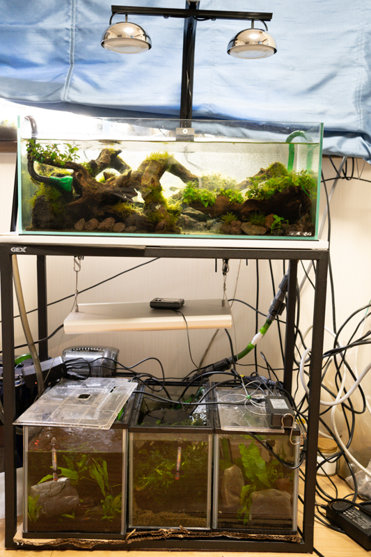 GEXのアクアラックスチールのカスタマイズ | 660nm