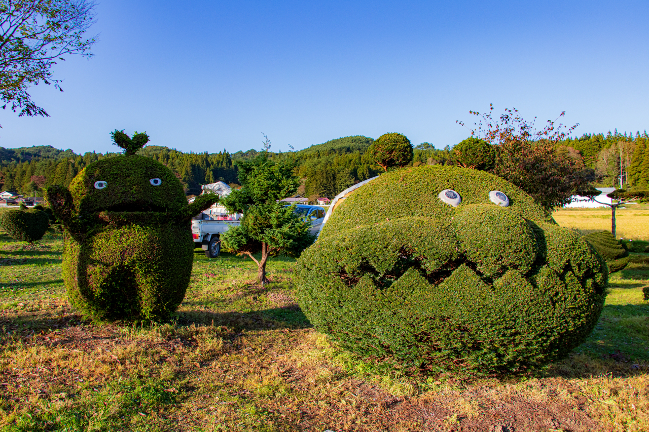 気になってた植木のアートに寄ってみたその名も『うえきの芸術』 - 戸