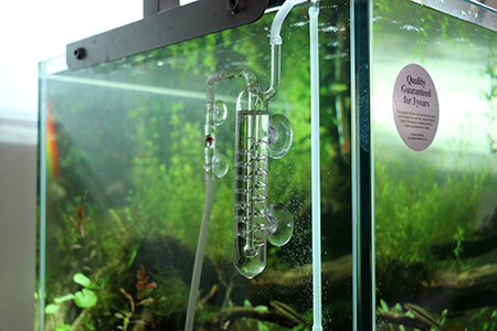 ADA CO2ビートルカウンター カボーションルビー パラングラス30 ADA