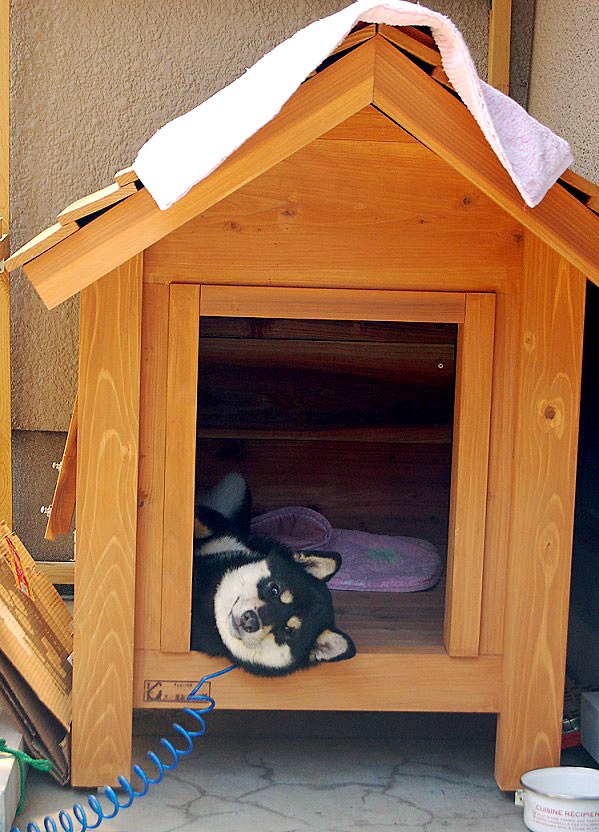 黒柴の木製犬小屋 - 犬小屋製作工房Kの犬小屋ブログ