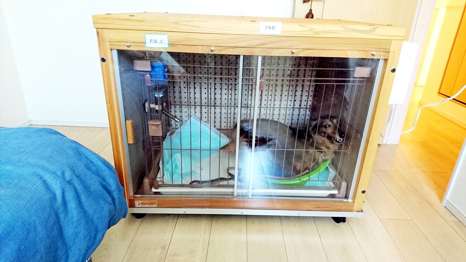 ペット可のアパートに防音ケージカバーをお届けした。 - 犬小屋製作