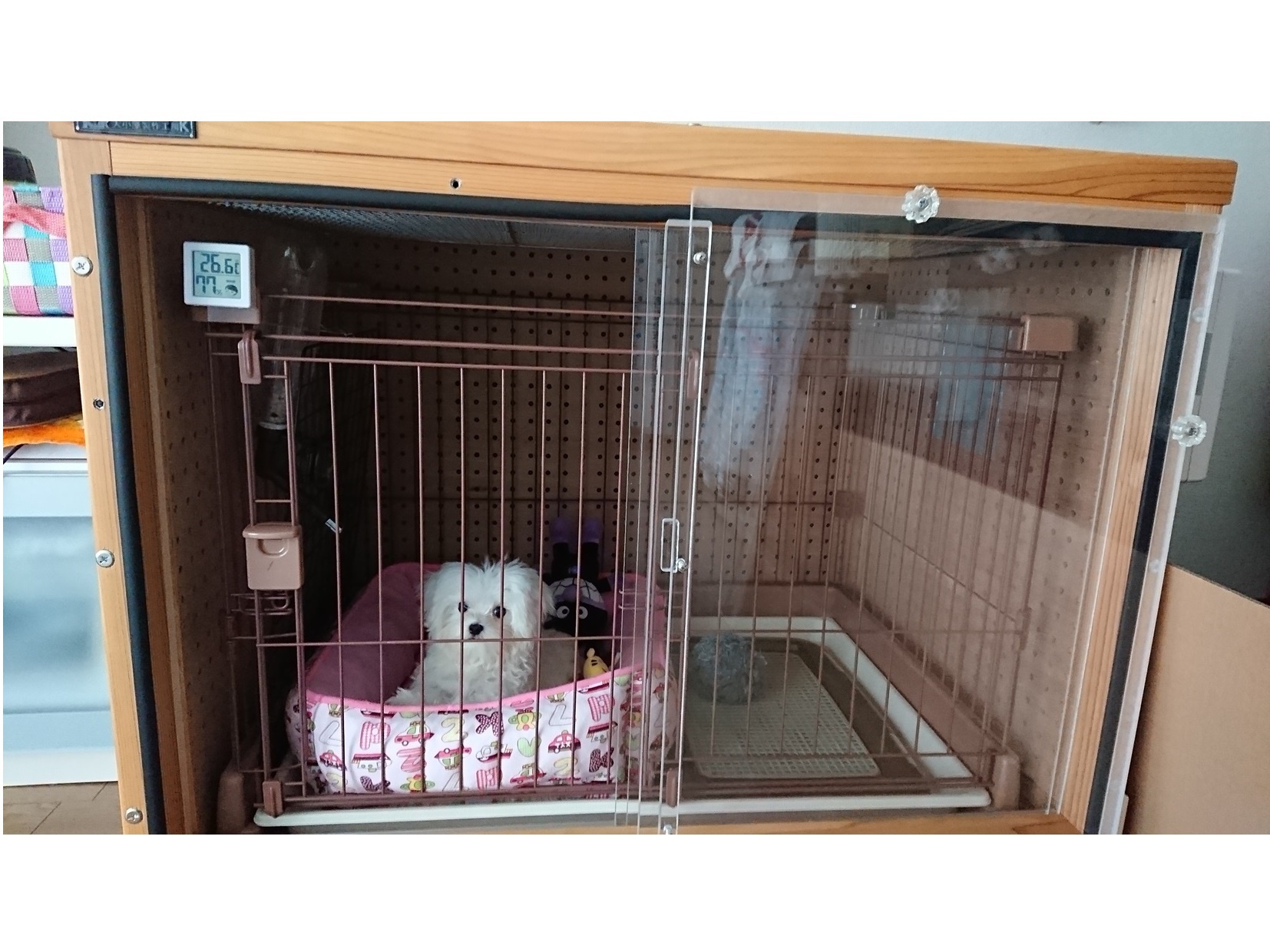 S 幅150×奥行き90×高さ65 犬 防音ケージ 吠え声 対策 楽天市場】犬