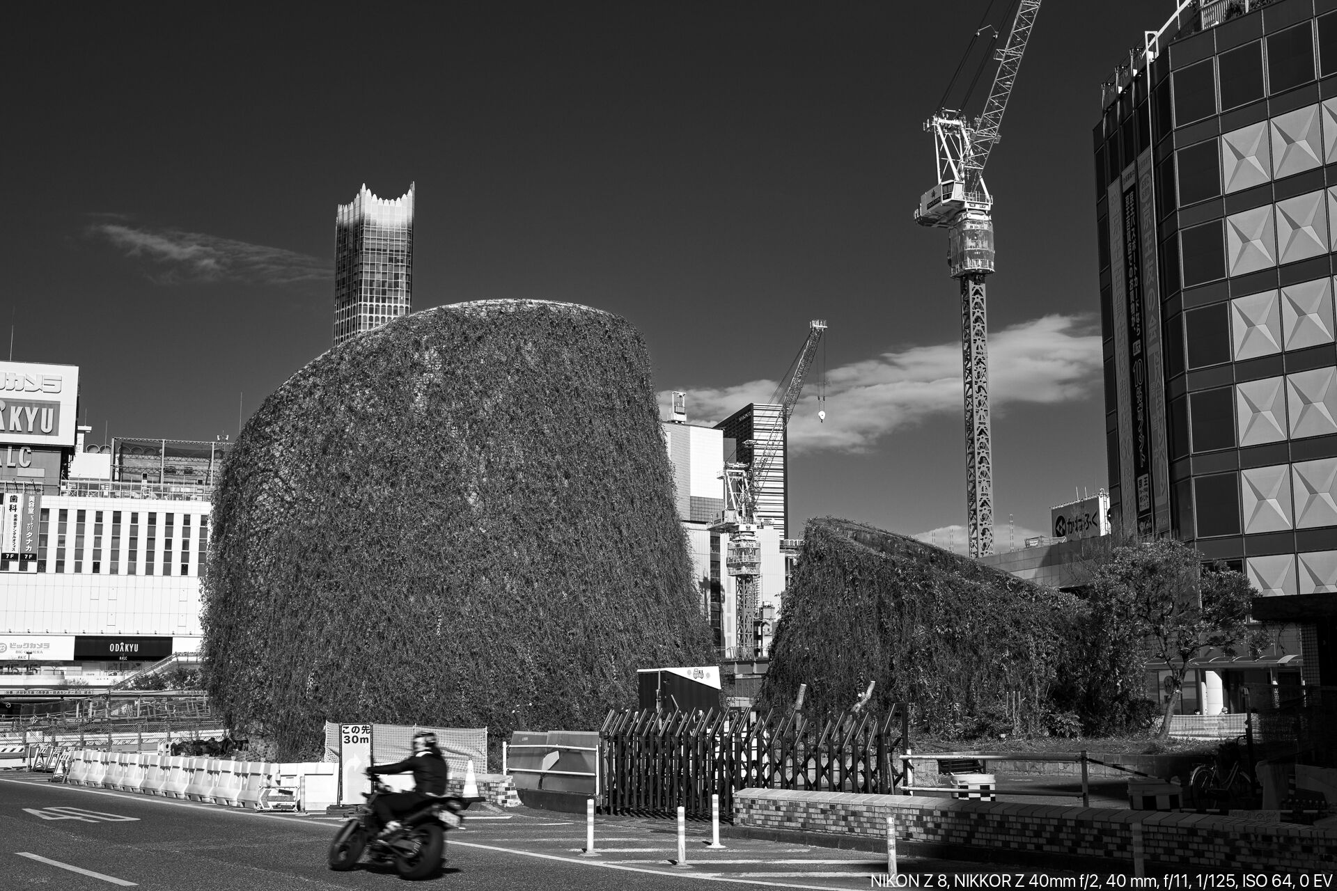 Nikon Z 8がVer.2.00になったのでモノクロ撮影をしてみる – 酔人日月抄外伝